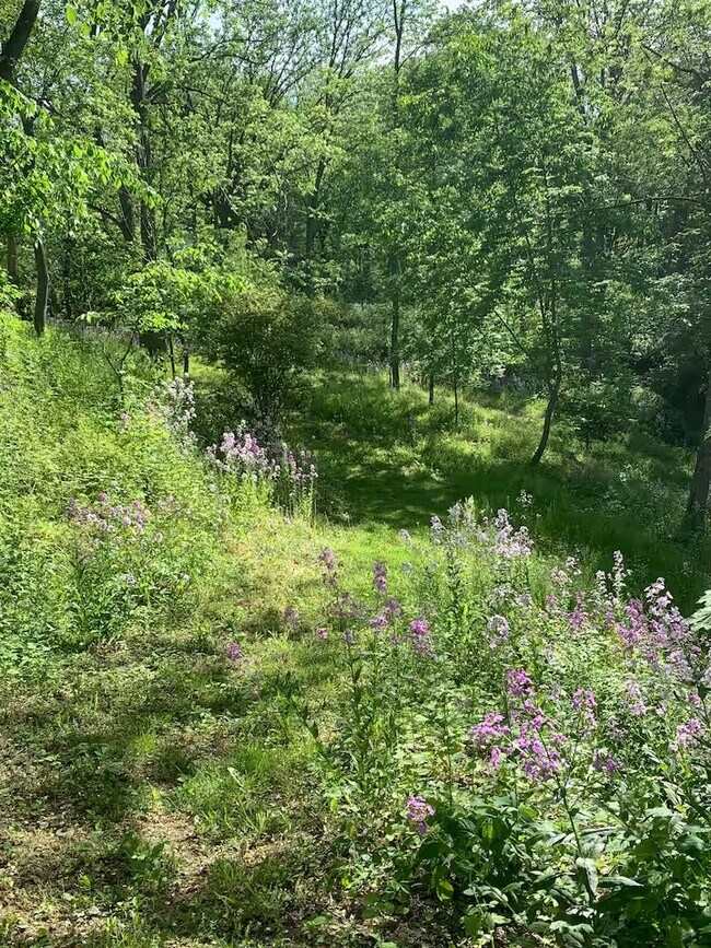 Photo - 19 Philo Rd