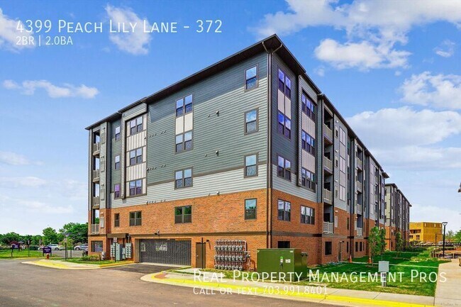 4399 Peach Lily Ln Unit 372