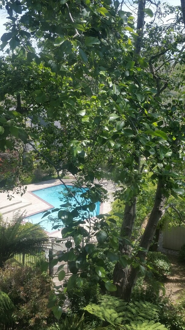 Photo - MOVE-IN READY! Peaceful 1-Bedroom Top Floo... Unit 30