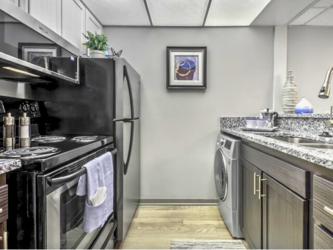 Photo - Selwyn Flats