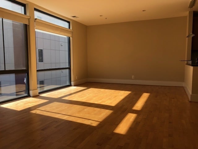 Photo - Spacious and Sunlit 1 BD 1BA in the Bustli... Unit 8