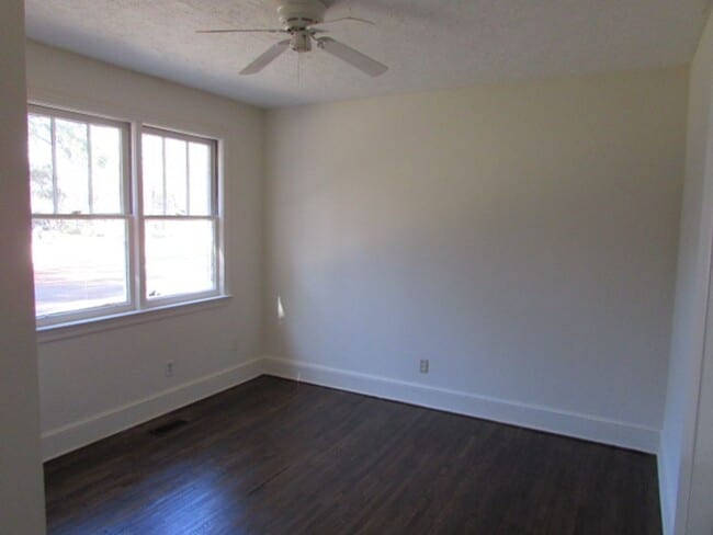 Photo - Close to Swan Lake