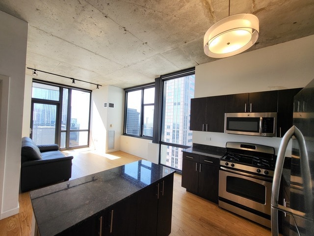 Building Photo - 235 W Van Buren St Unit 3614 Rental