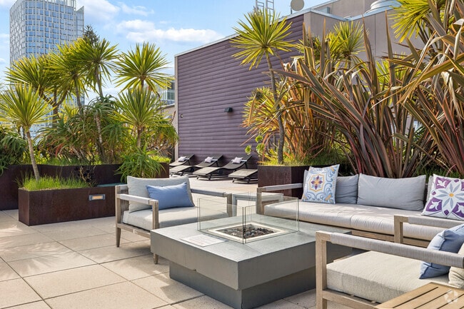 Rooftop Deck