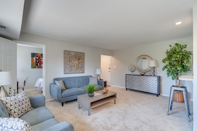 Photo - The District at Forestville