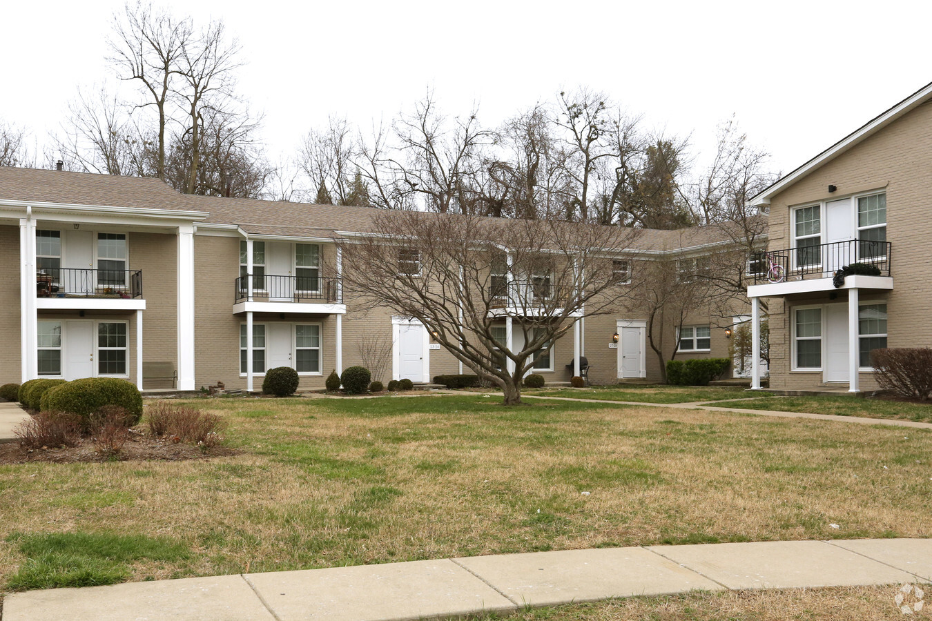 Forest View Apartments - Forest View Apartments
