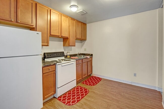 Photo - Conifer Grove