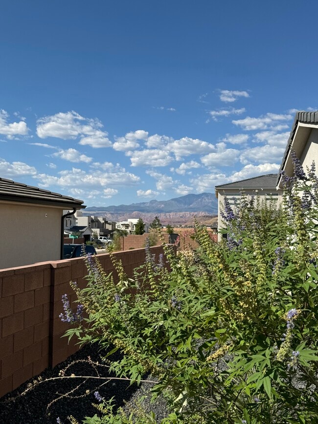 Photo - 1262 E Daylily Dr
