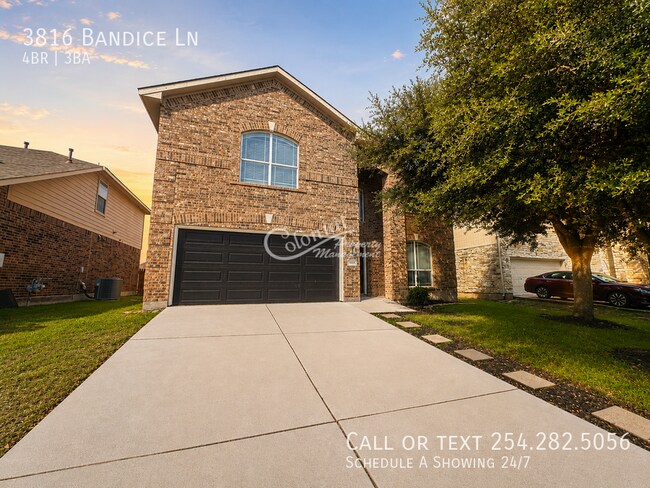 Building Photo - 3816 Bandice Ln
