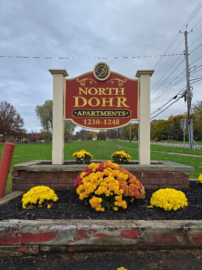 Building Photo - North Dohr Apartments