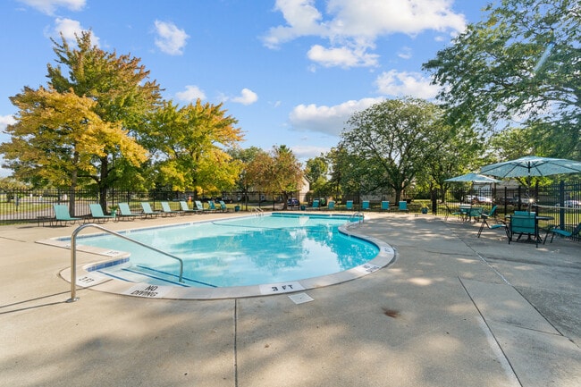 Photo - Chestnut Lake
