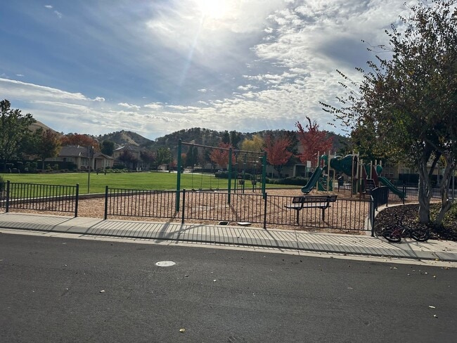 Photo - Patterson Stunner