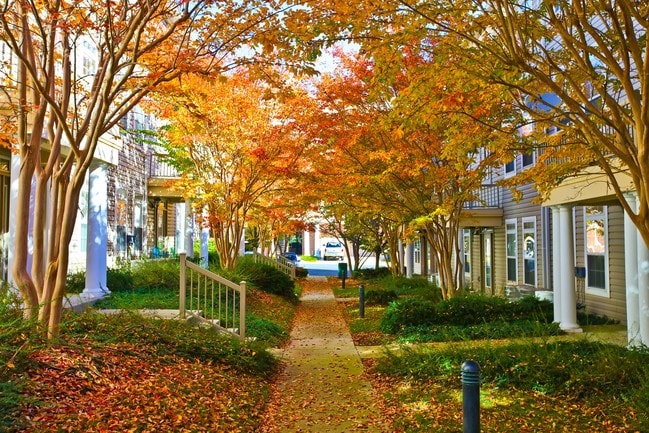 Woodland Park Groundss