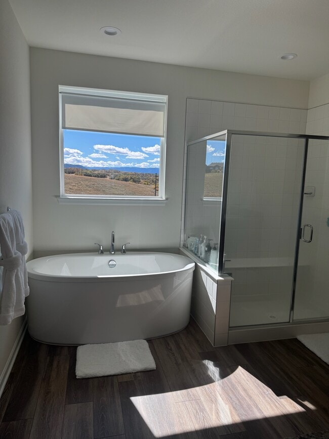 Photo - 164 Welded Tuff Trl