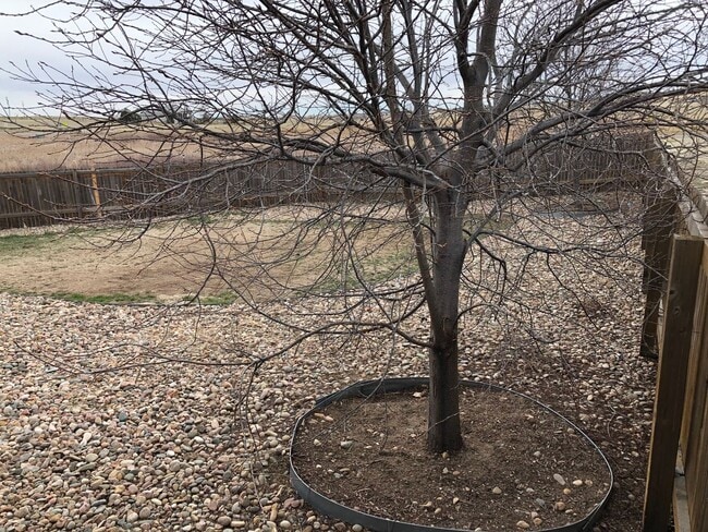 Photo - Duplex Town Home Rancher One Level Living