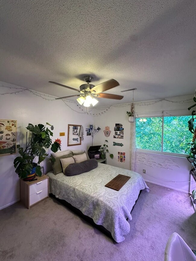 Dormitorio en la planta superior con ventana grande y vestidor. - 1309 Ontario Cir
