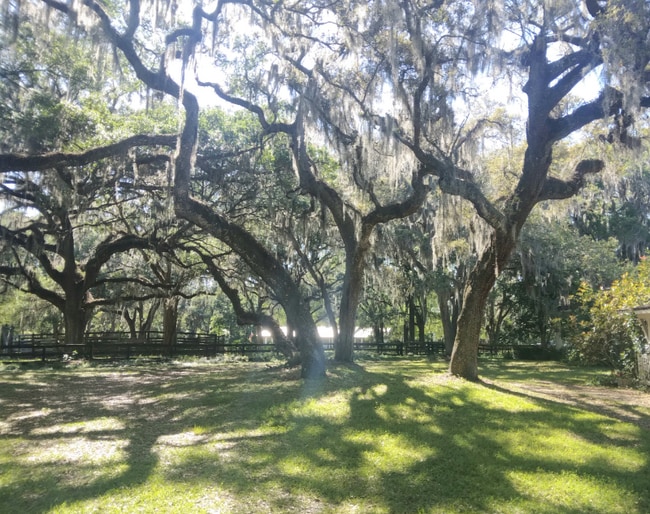 Photo - 8035 NW 120th St
