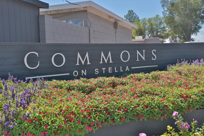 Icon on Stella