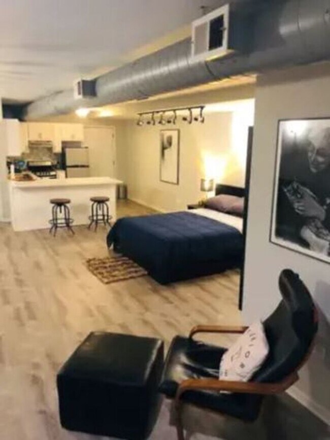 Photo - Beautiful Large Studio in the Heart of Wicker Park Unit Garden