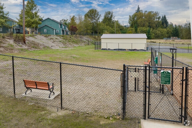 Dog Run
