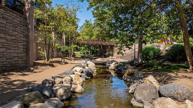 Creek