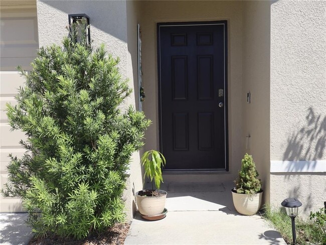 Photo - 4676 Sigcom Pl