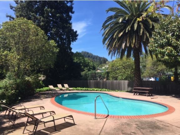 Photo - Pine Lane Apartments