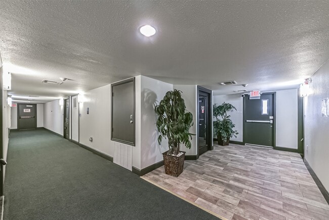Building Photo - 1025 Swanson St Unit 313 Rental