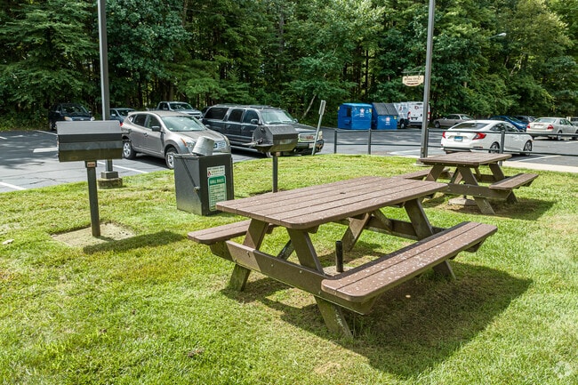 Picnic Area