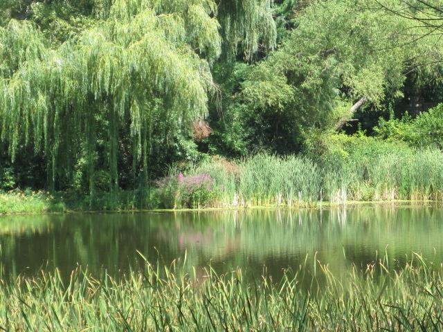 Vista del estanque - Waterford Green Apartments & Townhomes