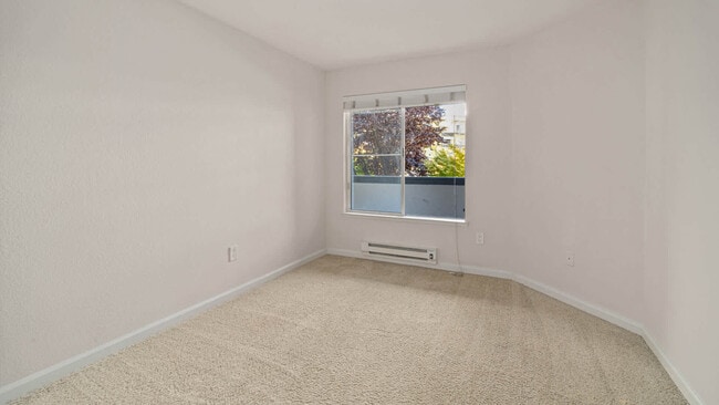 Carpeted Bedroom