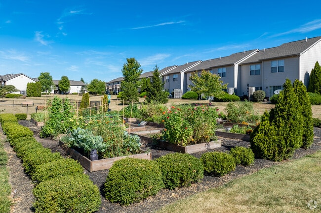Community Garden