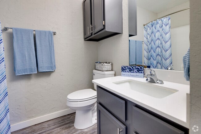 1BR, 1BA - 600SF - Bathroom