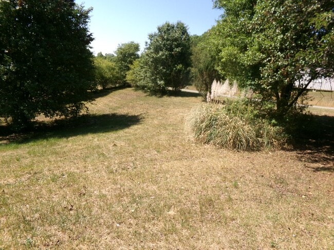 Photo - Country Living