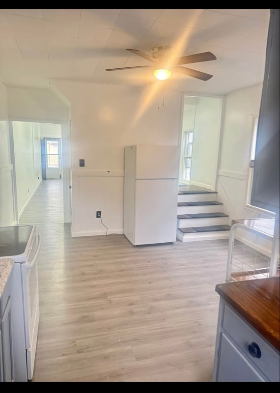 Photo - 249 Barney St