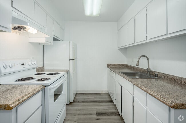 2BR, 1BA - 800SF - Kitchen