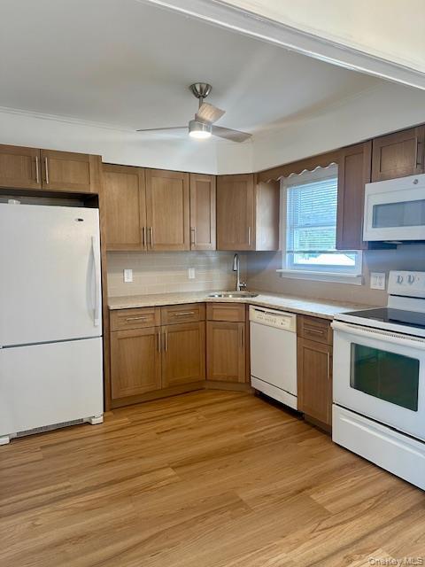 Photo - 3861 Peter St