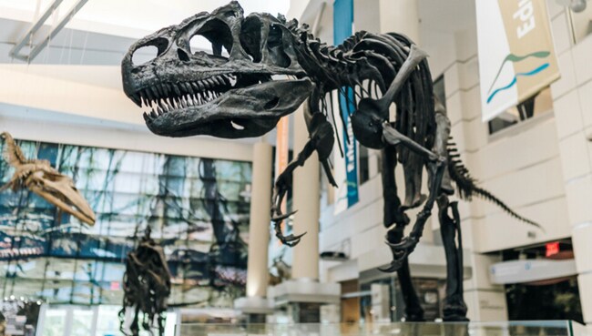 Photo - 1130 Ridge Rd Unit 2