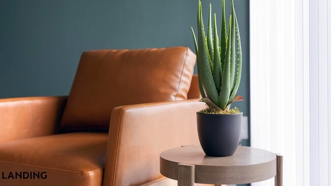 Photo - 909 Mansion Dr Unit 760-302