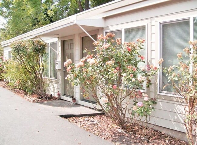 Building Photo - Great Refurbished Light & Bright 2Bed w/Private Entrance & Parking! Unit 4149-1