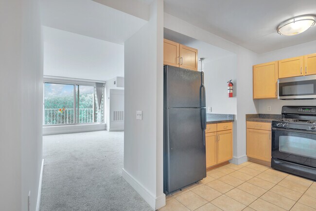 Building Photo - 800 4th St SW Unit S508 Rental