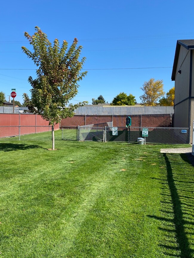 Fenced in Dog Park