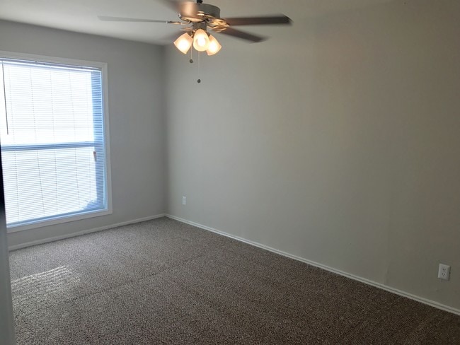 Photo - Lory of College Station