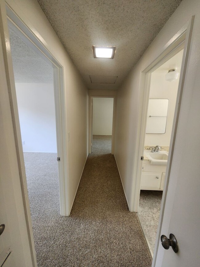 1219 Amethyst St Unidad C