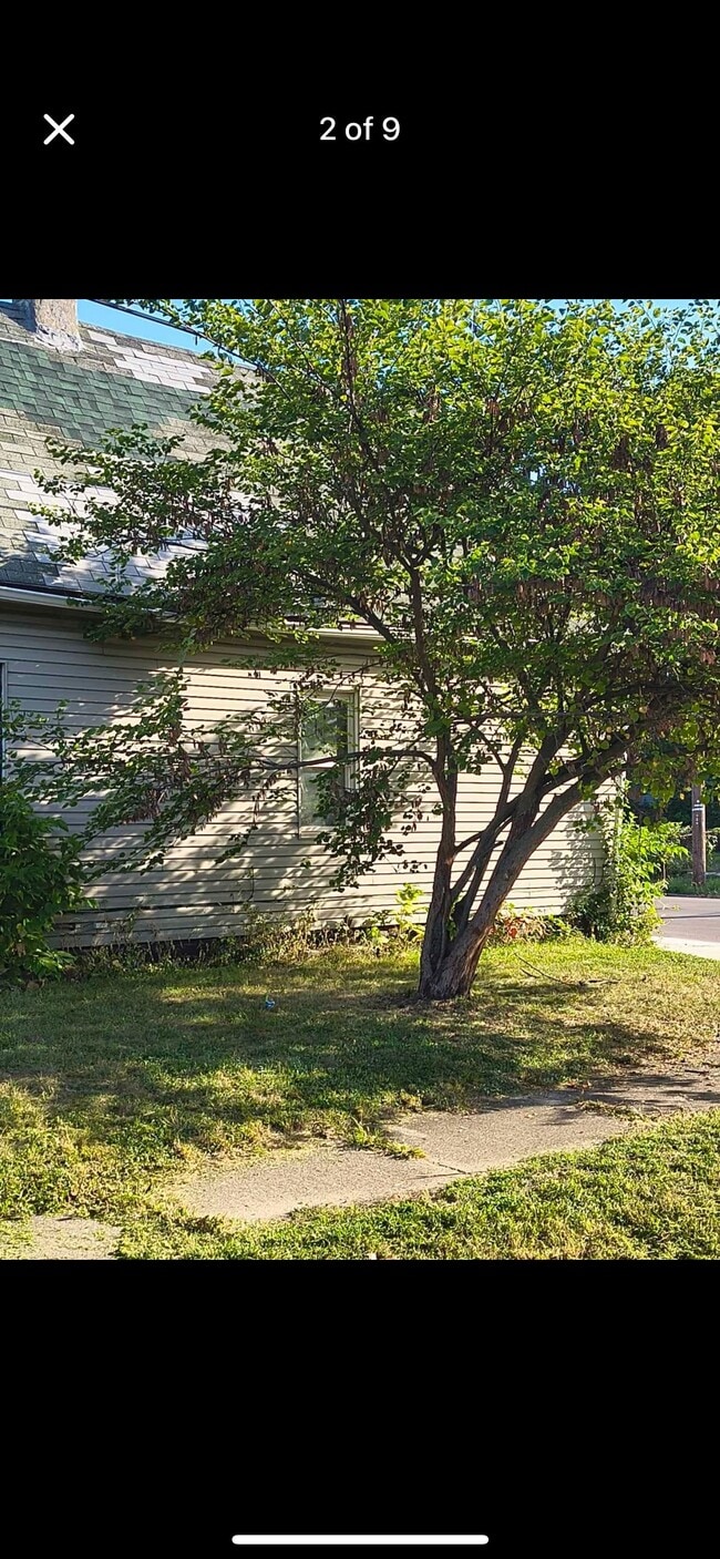 Photo - 215 St Jude Ave