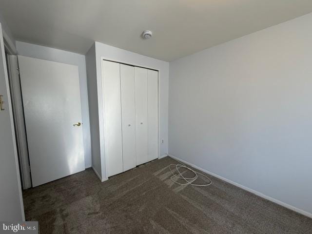 Photo - 6581 Pressed Gentian