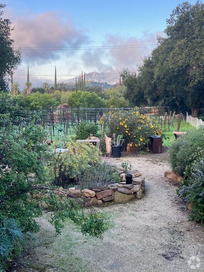 Building Photo - Lost Creek Upper Ojai Rental