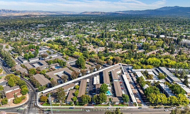 Photo - Cherry Creek