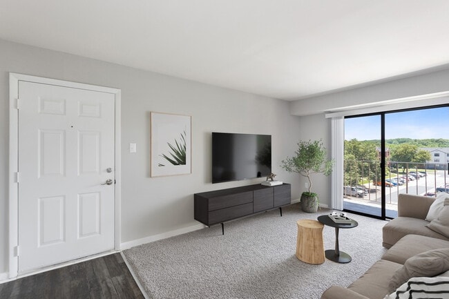 Photo - Brightwood Forest