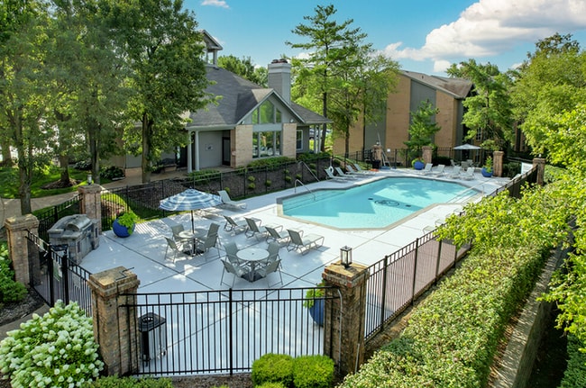 Sparkling Swimming Pool